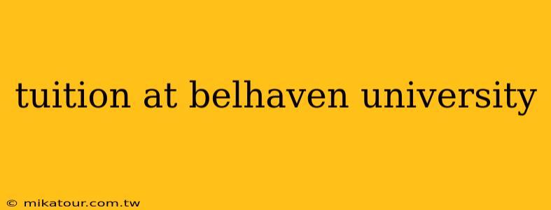 tuition at belhaven university