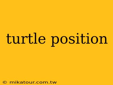 turtle position