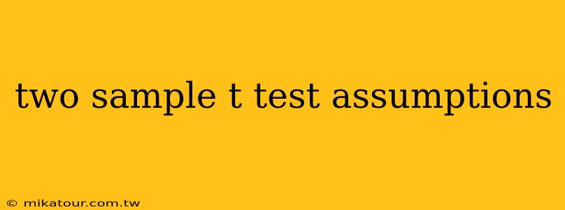 two sample t test assumptions