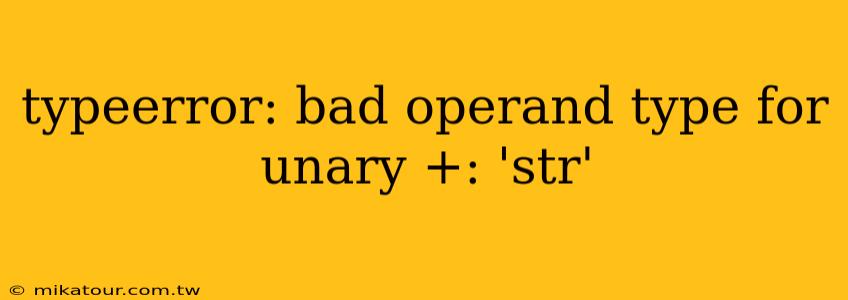 typeerror: bad operand type for unary +: 'str'