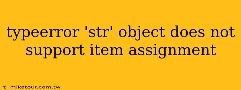 typeerror 'str' object does not support item assignment