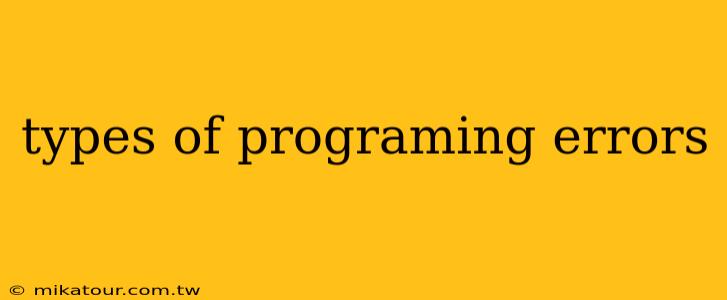 types of programing errors