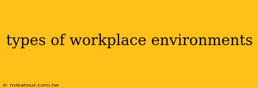 types of workplace environments