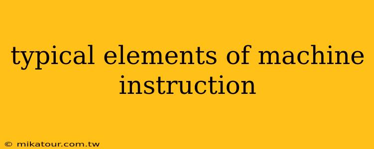 typical elements of machine instruction