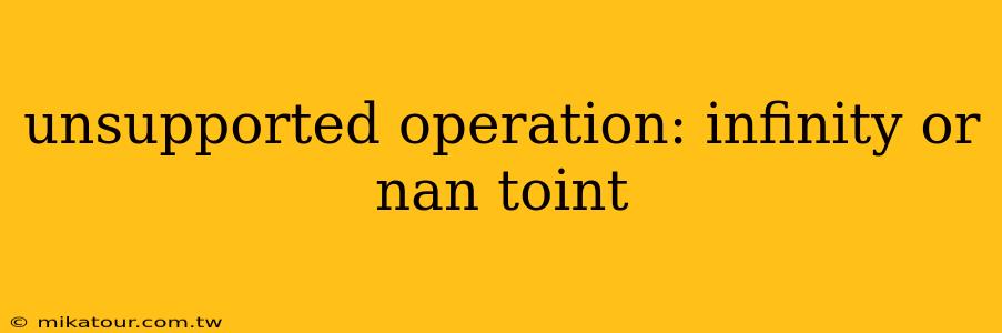 unsupported operation: infinity or nan toint