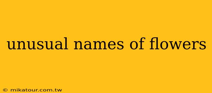 unusual names of flowers