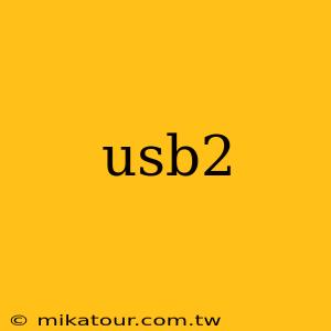 usb2