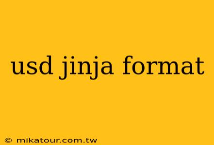 usd jinja format