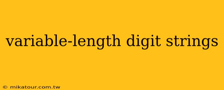 variable-length digit strings