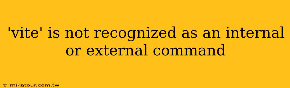 'vite' is not recognized as an internal or external command