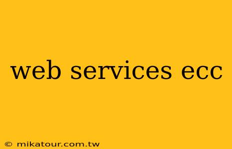 web services ecc