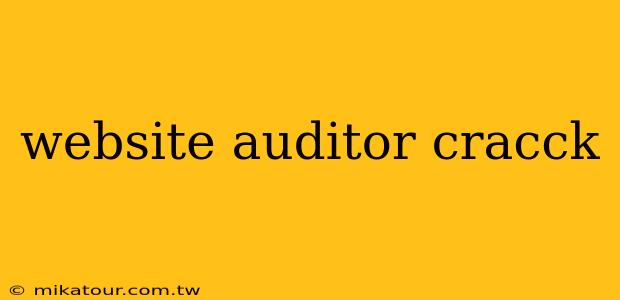 website auditor cracck