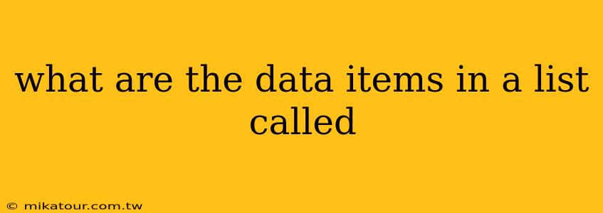what are the data items in a list called
