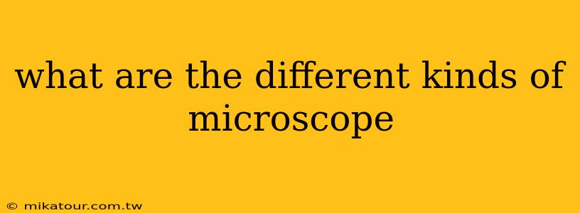 what are the different kinds of microscope