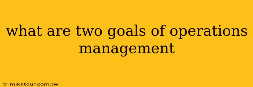 what are two goals of operations management