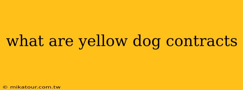 what are yellow dog contracts