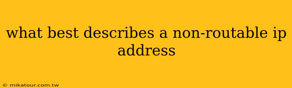 what best describes a non-routable ip address