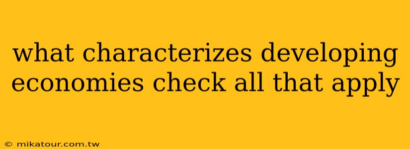 what characterizes developing economies check all that apply