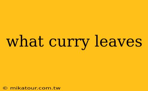 what curry leaves