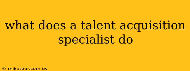 what does a talent acquisition specialist do