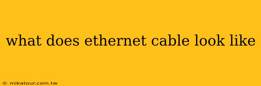 what does ethernet cable look like