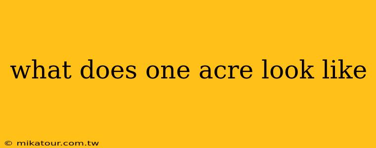 what does one acre look like