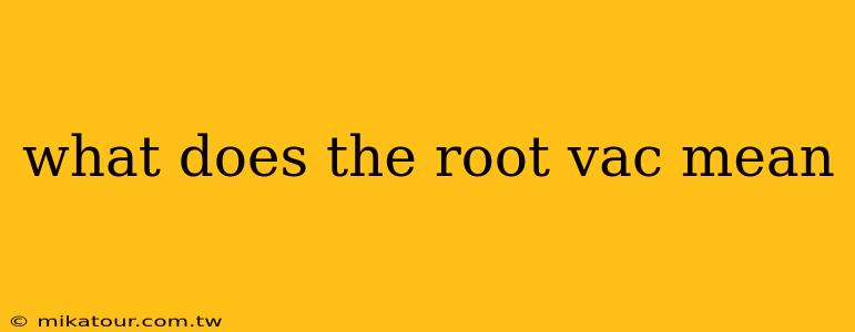 what does the root vac mean