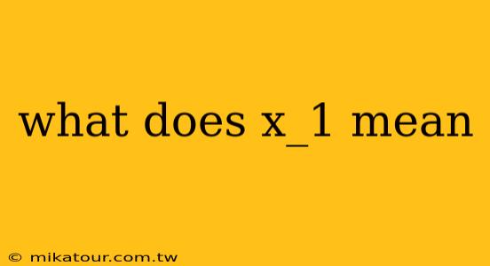 what does x_1 mean