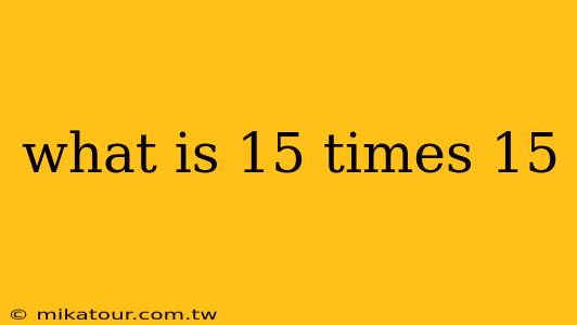 what is 15 times 15