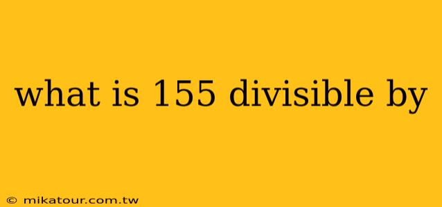 what is 155 divisible by