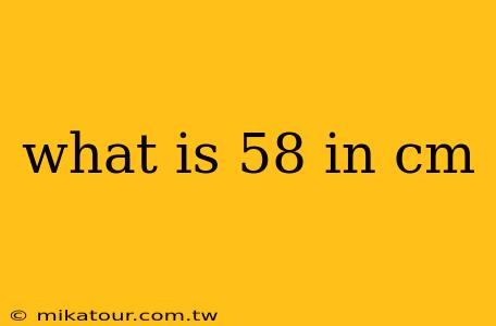 what is 58 in cm