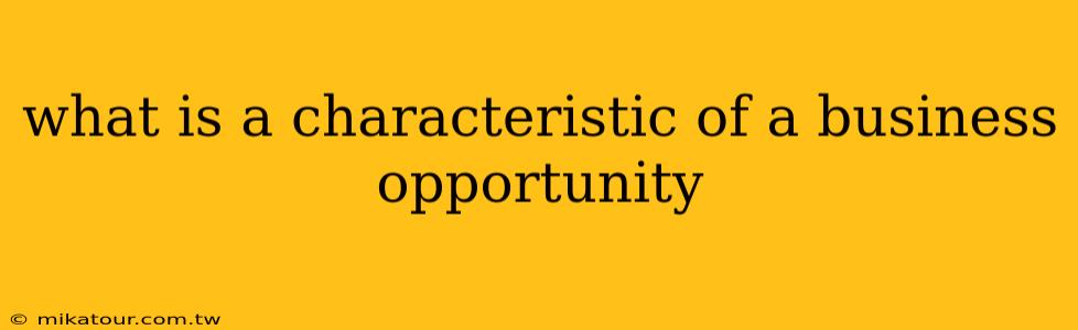 what is a characteristic of a business opportunity