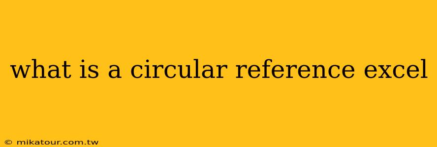 what is a circular reference excel