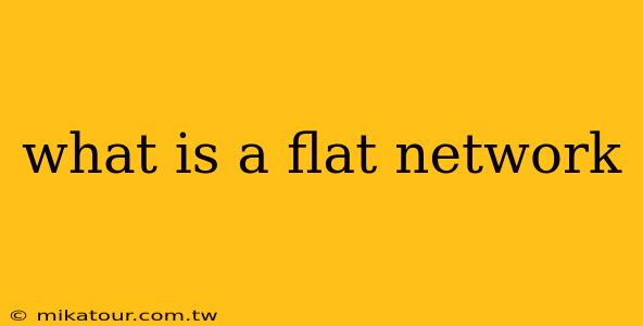 what is a flat network