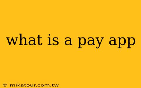 what is a pay app