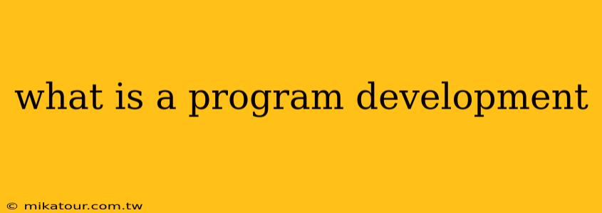 what is a program development