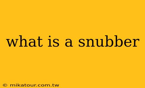 what is a snubber