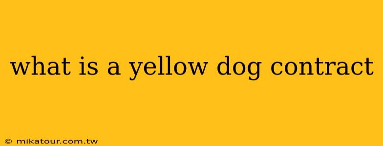 what is a yellow dog contract