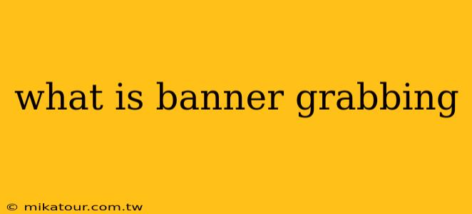 what is banner grabbing