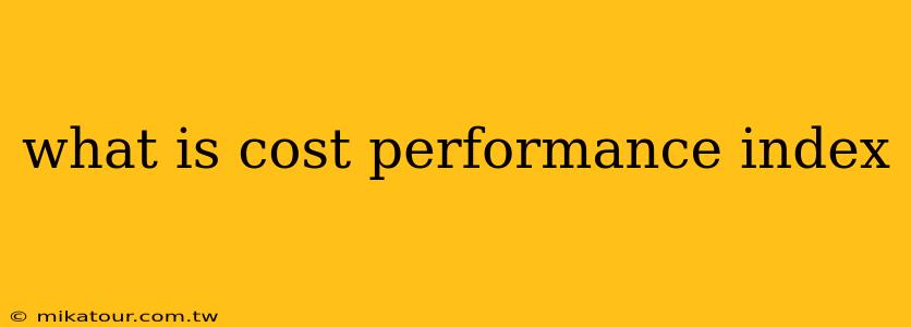 what is cost performance index