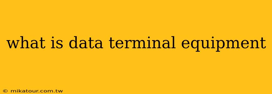 what is data terminal equipment