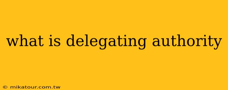 what is delegating authority