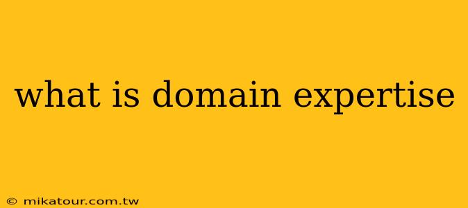 what is domain expertise