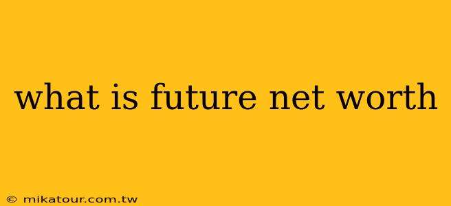 what is future net worth