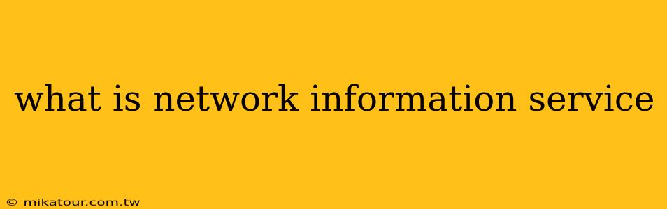 what is network information service