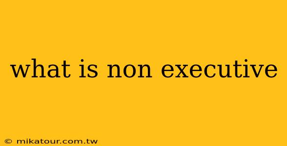 what is non executive