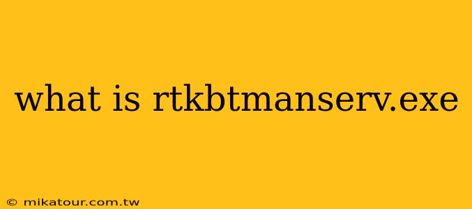 what is rtkbtmanserv.exe