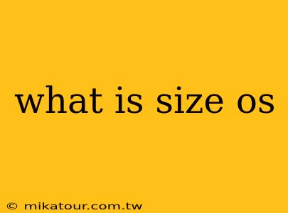 what is size os