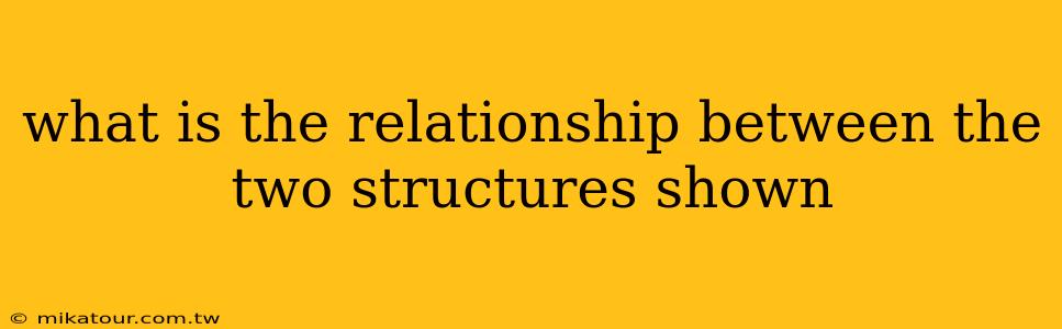 what is the relationship between the two structures shown