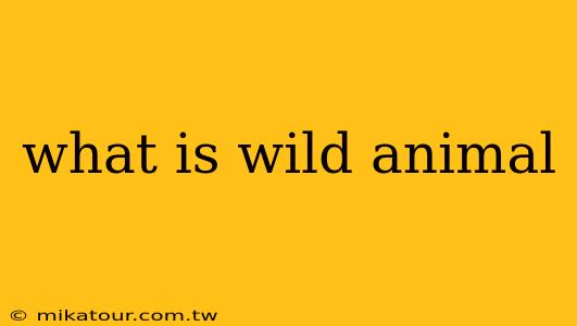 what is wild animal